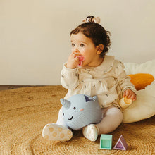 Load image into Gallery viewer, Narwhal Shape Sorter