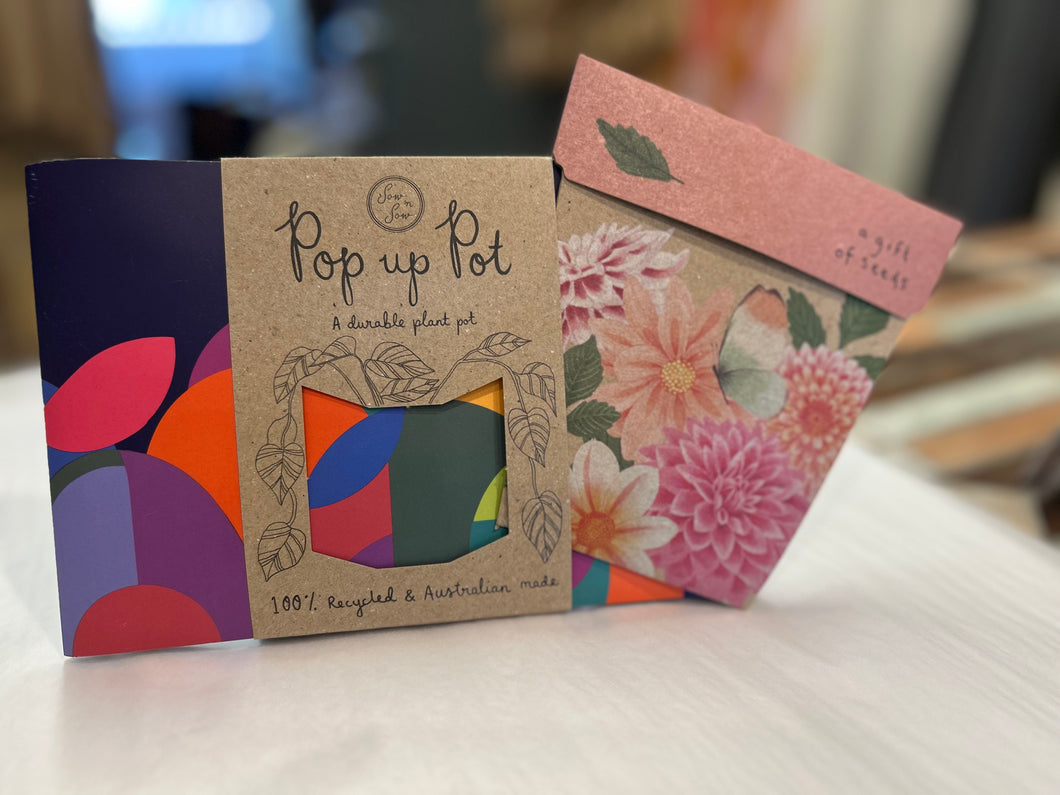Pop Up Pots Sml