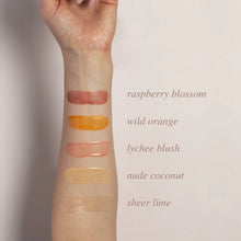 Load image into Gallery viewer, Tinted Lip Butter - Sheer Lime
