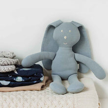 Load image into Gallery viewer, Organic Snuggle Bunny - Zen
