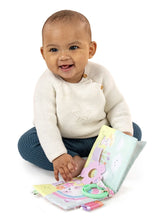 Load image into Gallery viewer, Soft Book Assorted
